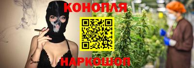 гашик Нальчик