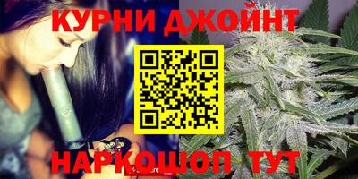 гашик Нальчик