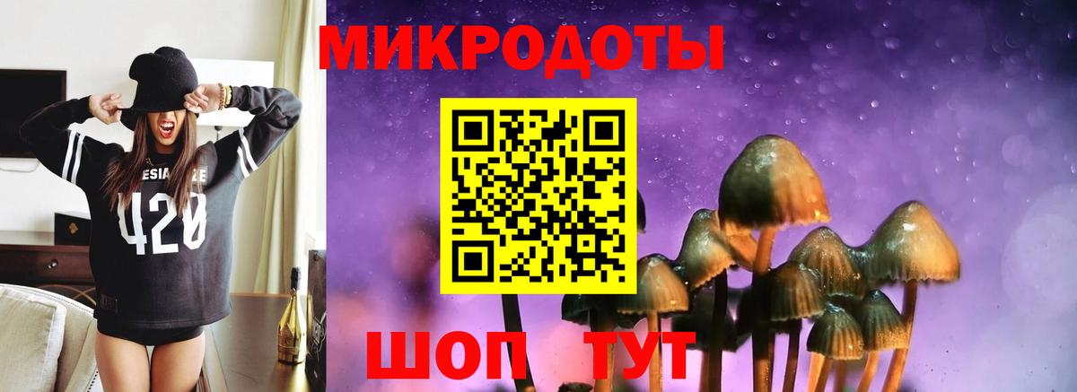 Туапсе  Псилоцибиновые грибы Cubensis  Галлюциногенные грибы мицелий  Вход с VPN 